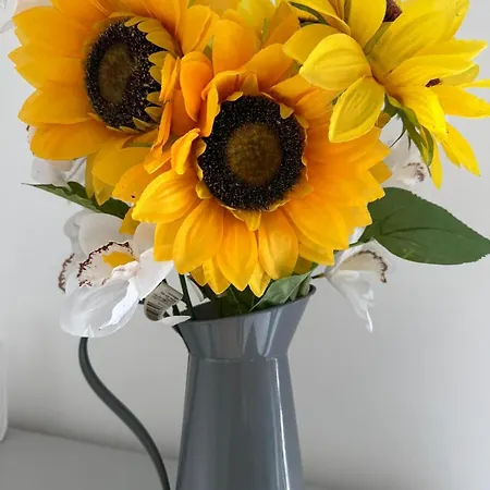 Quayside -2 Bedrooms - Sleeps 4 Apartment